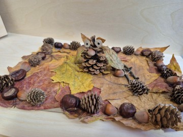 Michał Ciesielski, „Sowa w lesie”, Szkoła Podstawowa im. Wł. Jagiełły w Starych Skoszewach, nauczyciel Joanna Spychała, 